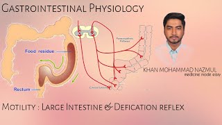 Motility  Large Intestine amp Defication Reflex  GASTROINTESTINAL PHYSIOLOGY  বাংলা [upl. by Sixel]