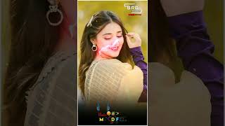 New Timli Status 2024DJ Remix Gujarati Timli Whatsapp Status 2024New Timli Gujarati Song Status [upl. by Harbot]