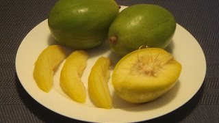 Ambarella Fruit How to Eat June Plum [upl. by Fredrick91]