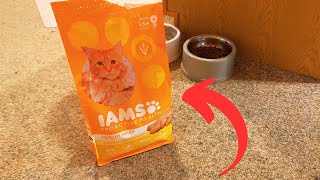 Why We Chose the Iams Chicken Cat Food How Does it Compare [upl. by Fredric]