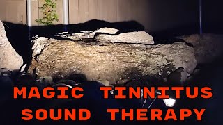 BEST Tinnitus Relief Sound Therapy Treatment  Magic Water Feature Masking [upl. by Nodyarg]