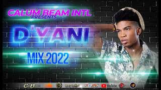 Dyani Mix 2022  Dyani Mixtape 2022  Dyani Dancehall Mix 2022 [upl. by Ruhtracam]