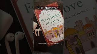 40 Rules Of Love By Elif Shafak What I Learned from Rule No11 youtubeshorts elifshafak love [upl. by Cut]