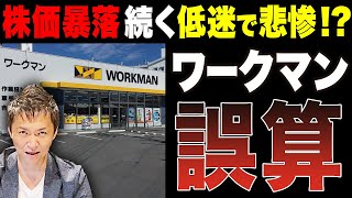 【減益でも負ける要素がない！？】2期連続減益のワークマンの経営実態の現状について徹底解説します [upl. by Acinnor]