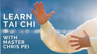 Tai Chi for Beginners  Best Instructional Video for Learning Tai Chi [upl. by Myrta135]