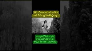 Veeche gaalulo ni chupulu song raja movie soundarya plz subscribe [upl. by Aik975]