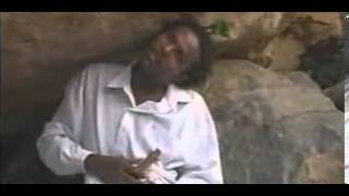 Taju Shurube  Yaa Rabbi Oromo Music [upl. by Alhahs]