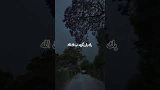 ترجمهفارسیقرآنکریم قرانکریم islamicmusic قرانی islamicsongs ترند شعر love [upl. by Kuska]