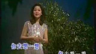 The Moon Represents My Heart  Teresa Teng [upl. by Eidnarb645]