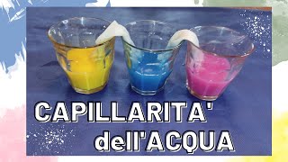 LA CAPILLARITA DELLACQUA esperimento con tutorial [upl. by Marcello777]