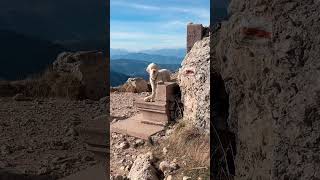 DexTours im Rosengarten Auf 4 Pfoten Entdeckungsreise in den Dolomiten rosengarten eggental [upl. by Hogle]