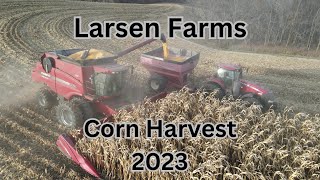 Larsen Farms Corn Harvest 2023 [upl. by Robins]