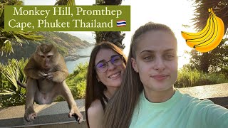 Monkey Hill Promthep Cape Phuket Thailand January 2024 🇹🇭 [upl. by Laehcimaj785]