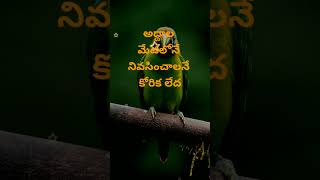 Jeevitha satyalu 1411  neethi vakyalu  quotations  top matalu  telugu sukthulu  manchi matalu [upl. by Ynej]