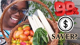 Season 2 EP 63 Growing Corn Tomatoes and PeppersThe Best Way To Save Money selfsufficient [upl. by Kerrison]