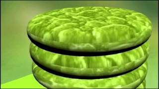 Chloroplast Animation [upl. by Yorker]