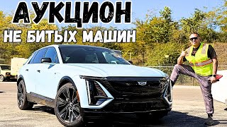 Шок целые машины дешевле битых  Авто Аукцион США [upl. by Lleryd]