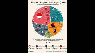 All the Worlds Endangered Languages by Country by derivationllcreddit [upl. by Brogle724]