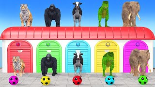 Cow Elephant Tiger Gorilla TRex 3d Animal Long Slide Game Funny 3d Paint Animals Cage Game [upl. by Alethia]