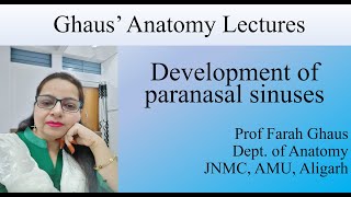 Development of paranasal sinuses [upl. by Aitas]