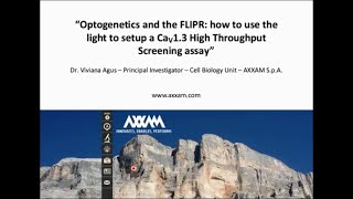 Optogenetics and the FLIPR how to use light to set up a Cav13 highthroughput screening assay [upl. by Merrielle]