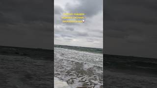 Сделай подарок нервной системепослушай море🐚одесса live жизньдругих relaxing одессасегодня [upl. by Kiran]