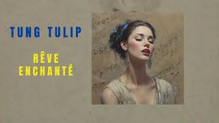 Rêve Enchanté Nhạc Hay Beautiful Music Belle Chanson tungtulip [upl. by Oirtemed]