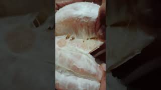 ASMR feeling pomelo suha yummy viralvideo [upl. by Delcine]