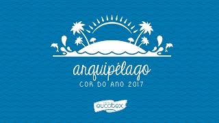 Cor do Ano 2017  Tintas Eucatex [upl. by Oigroeg]