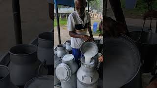 Milk Collection From Different Shed At Central Dairy Farm Savar Dhaka [upl. by Naedan855]