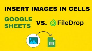 Google Sheets Insert Image in Cell vs FileDrop [upl. by Haines]