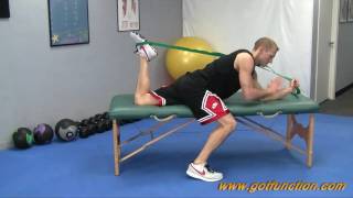 Best Hip Flexor and Quad Stretches [upl. by Tasia560]