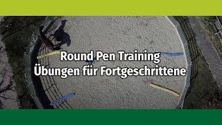 Eschbach Horsemanship Round Pen Training Übungen für Fortgeschrittene [upl. by Siramaj680]