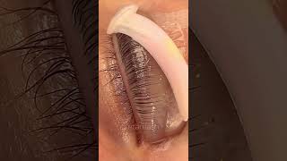 Impressive lash lift technique  Lash Flash [upl. by Euqnimod216]