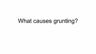 What causes grunting [upl. by Evilo]