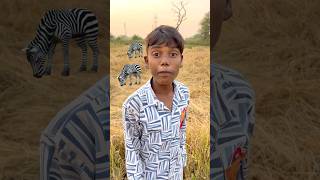 CHOTU KA VILAGE TIGER shorts FACTFIREKING [upl. by Elrod27]