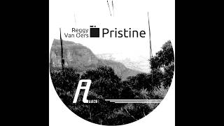 Reggy van Oers  Pristine Original Mix Affin 024 LTD [upl. by Caye]