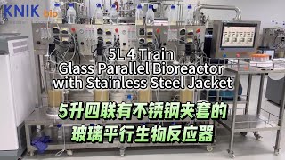 5L 4 Train Glass Parallel Bioreactor with Stainless Steel Jacket fermenter bioreactor centrifuge [upl. by Ronna]