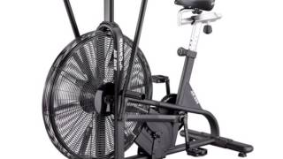 Airdyne vs Air Assault Bike Comparison [upl. by Reffinnej269]