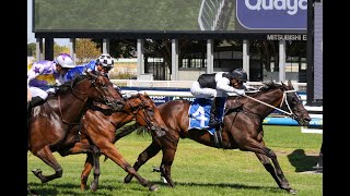 Caulfield  2024 Easter Cup Day Tips PLENTY OF VALUE ON THIS CARD 6424 [upl. by Mason]