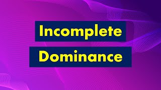 Incomplete Dominance [upl. by Romeon849]