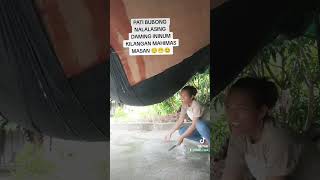 pati Pala bobong nalalasing 😁🤣 shorts funny viral trending satisfying [upl. by Peggy]