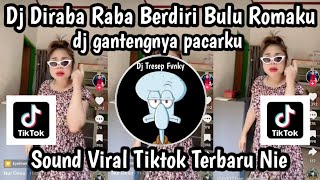 DJ DIRABA RABA BERDIRI BULU ROMAKUDJ GANTENGNYA PACARKU SOUND VIRAL TIKTOK YANG KALIAN CARI NIE [upl. by Aggri]