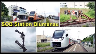 Schweizerische Südostbahn  Bahnstation Blumenau bei Rapperswil Kanton St Gallen Schweiz 2021 [upl. by Winola730]