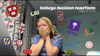 College decision reactions 2024  International Student [upl. by Rhett]