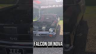 SRC FALCON OR NOVA WHATS YOUR FAVORITE [upl. by Swayne]