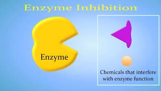 Enzyme Inhibition Competitive vs NonCompetitiveAllosteric [upl. by Anaoj]