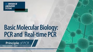 Basic Molecular Biology PCR and RealTime PCR – Principle of PCR [upl. by Atolrac]