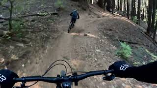 2024 10 19 Downieville Downhill GX010188 [upl. by Ayoj]