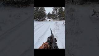 deer hunting is snow airhuntinghuntinggameelkhuntwildlifedeer [upl. by Rochelle]